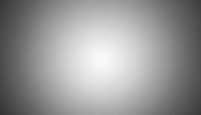 观赏鱼养殖选型与维护建议